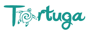 logo_tortuga-colori